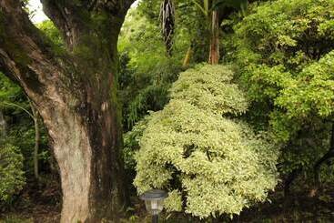 پانسیون Kougetsu Sanso    Moon Villa In Tokyo
