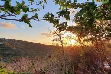 پانسیون Over The Hill Residence