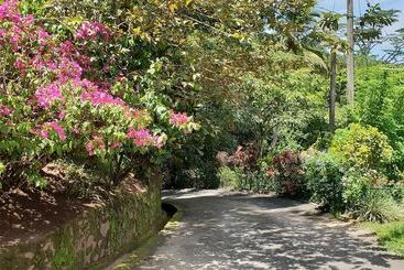 پانسیون Windy Ridge Kandy