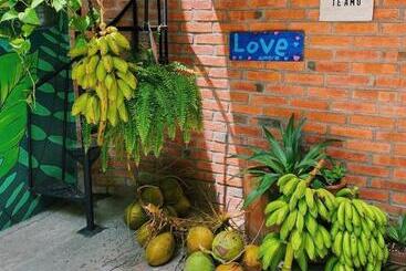 هاستل La Redonda Sayulita Hostal