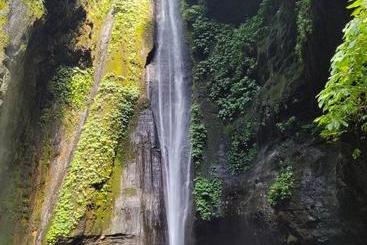 پانسیون Sekumpul Accommodation