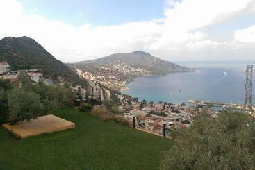 The Mediteran