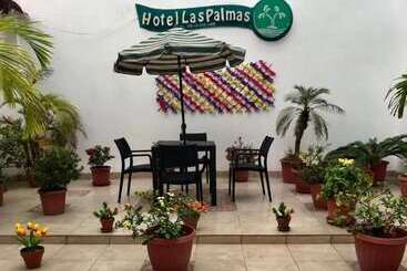 هاستل Las Palmas