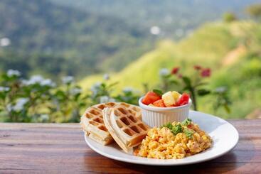 هاستل Mundo Nuevo Eco Lodge