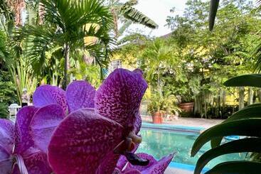 پانسیون Orchid Cottage