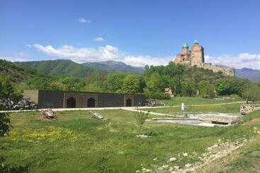 پانسیون Guest House Gzirishvili