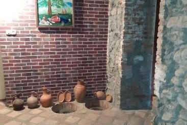 پانسیون Guest House Gzirishvili