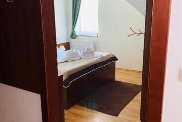 پانسیون Vila Mlynica