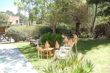 هاستل Dandy Suites