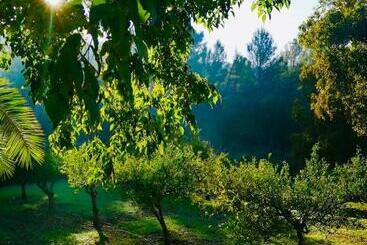 هتل Agroturismo Son Boronat