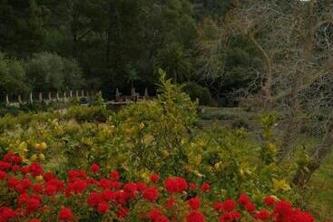 هتل Agroturismo Son Boronat