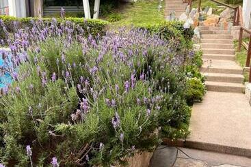 Blumen