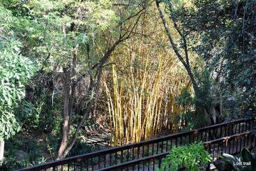 پانسیون Lost Trail Bed And Breakfast