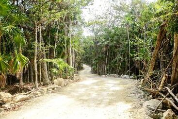 پانسیون Casa Tortuga Tulum Cenotes Park Inclusive