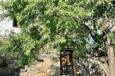 پانسیون Guest House Savane