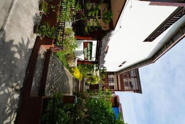 پانسیون Ida Guest House & Jungle Trekking
