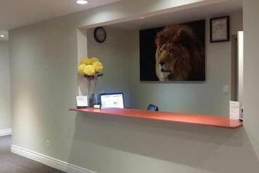 هاستل The Lion Inn & Suites
