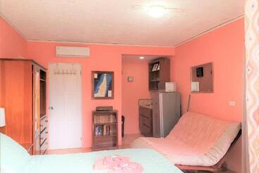 Beach Side Condos Caye Caulker By Ccvh