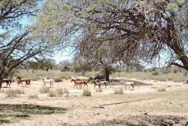 هتل Savanna Guest Farm