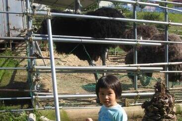 بنسيون Mirai Noen