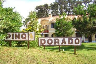 Pino Dorado - Punta del Este