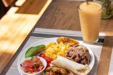 پانسیون Believe Surf & Yoga Lodge Santa Teresa