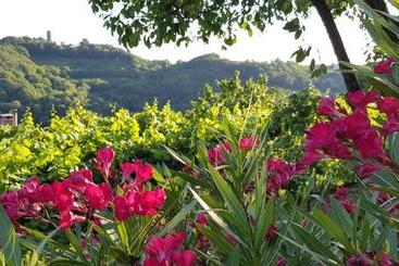 پانسیون Valentina Guest House At Pintar Wine Estate
