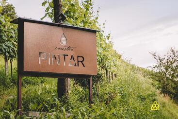 پانسیون Valentina Guest House At Pintar Wine Estate