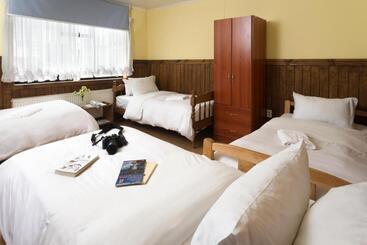 هاستل Hostal Hielo Sur