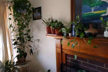 هاستل Fairhaven Guesthouse