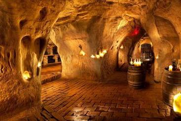 پانسیون Váš Sklep   Vinný Sklep A Penzion