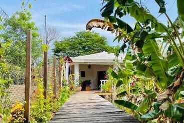 پانسیون Coibahouse