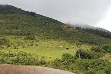 هاستل Hacienda San Isidro Trails & Experiences