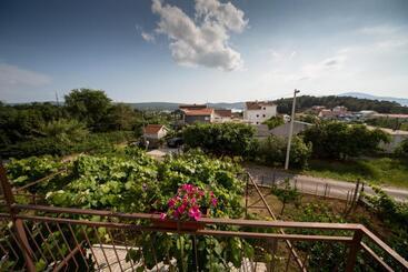 پانسیون Apartments Pavićević
