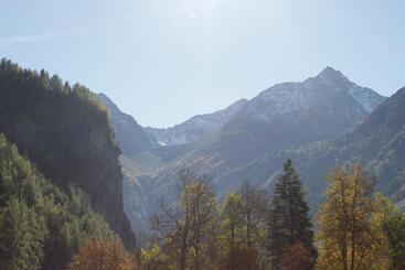 پانسیون Birkenheim Widmann