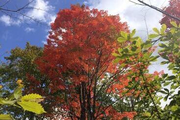 膳宿费 乗鞍高原の宿テンガロンハットb&btengallonhat