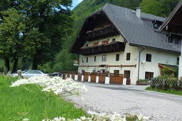 بنسيون Gasthof Steinbräu