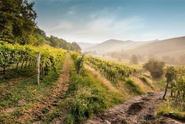پانسیون Kabaj Wine & Dine