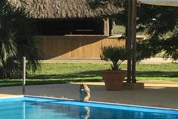 Pueblo Chico Agroturismo