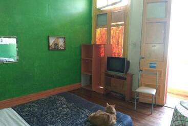 هاستل Hostal Del Gato