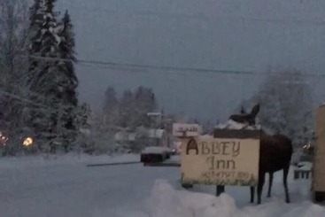 هتل Abbey Archway Inn