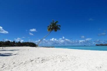 تختخواب و صبحانه The Sunrise Huraa