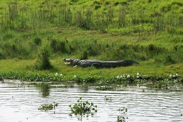 هتل Chitwan Park Village