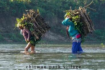 هتل Chitwan Park Village