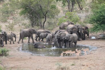 هتل Makumu Private Game Lodge