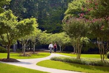 מלון דירות Sonesta Es Suites Gwinnett Place Atlanta