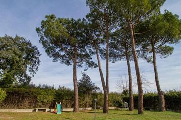 B&b Palazzi