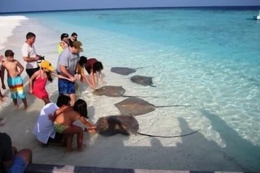 مسافرخانه Plus View Maldives