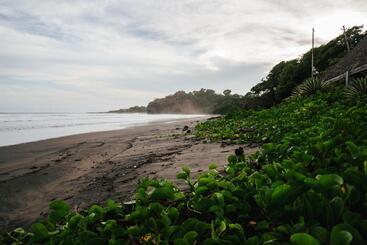 هتل Los Mangos El Salvador