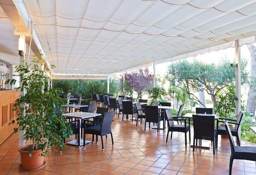 Fotos del hotel Club Cala Ratjada:  29
